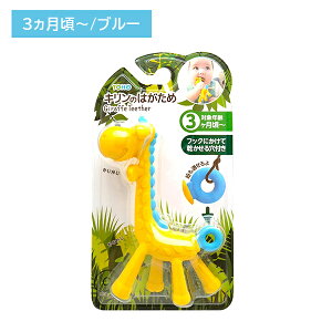 r[uL̂͂ u[  Ԃ 錊t h~ ̐n 3 ?ޗK L sbv PIP