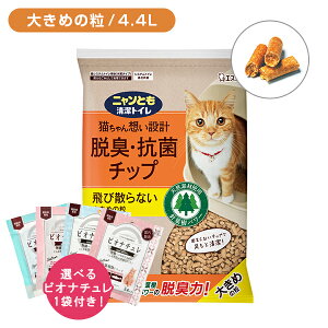 yubNtCf[ |CgUPIzjƂgC ELERۃ`bv 傫߂̗ 4.4L L L qL ybg `bv L 傫 VRf jt | ꂢ юUȂ ȒP 