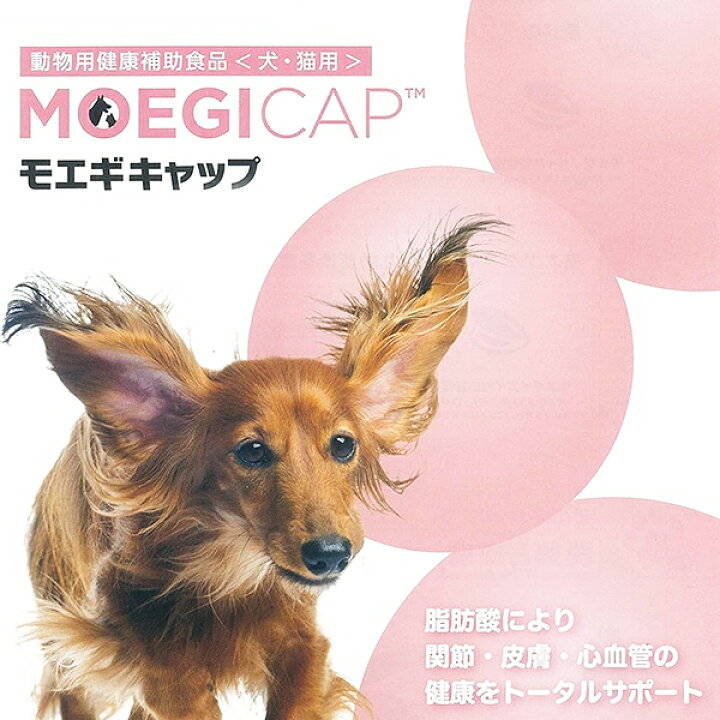 楽天市場】【2個セット】モエギキャップ 100粒 共立製薬 犬用 猫用 