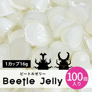 [[ r[g[[ 100 1Jbv16g Beetle GT  JugV NK^  K ċx  ς A~m_ F T