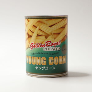 mOR[ 3 M25-35{naH ؗ ƖpTCY ƖpHi Hi H vp Ɩp vdl e TCY  TCY RXp  TCY W{