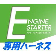 カーメイト TE162 エンジンスターターハーネス単品【本体別売】