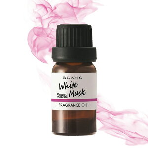 J[Cg L10013 uO tOXIC zCgXNZVA \IȃzCgXN̍ L-10013