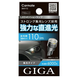 J[Cg BW172 GIGA LED|WVou R110T 6000K 110lm XgOWY 2 ԌΉ BW-172