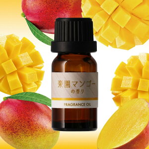 J[Cg L10302 fBt[U[pIC G߂̍ y}S[̍