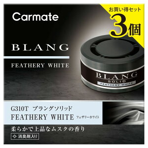 J[Cg G310T uO \bhlߑւ 3P tFU[zCg 60gx3Lܔz F tOX Ō` G-310T