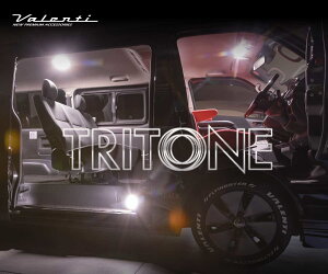 ヴァレンティ RL-PCT-ACE-4 LEDルームランプセット トライトーン 200系ハイエース スーパーGL標準ボディ 両側スライドドア