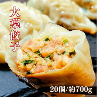 【送料無料】特大 大葉餃子 20個 約700g (1個35g) にんにく不使用 東京練馬区の店舗で手包み 高級 餃子 …