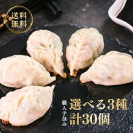 【送料無料】総重量約1.05kg 選べる 餃子 30個 (3種×10個) 特大 食べ比べセット 練馬区の店舗で手包み …