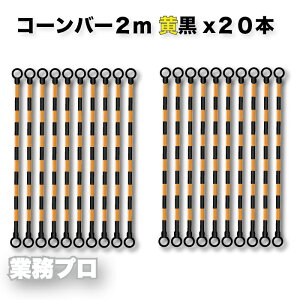 20{R[o[ 2m oP[hpo[ H ԏ ֏ ʍs~ |[Ap R[|[po[ vX`bN y 2m R[o[ HSpi [vXeBbN