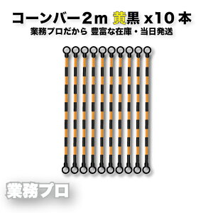 10{R[o[ 2m oP[hpo[ H ԏ ֏ ʍs~ |[Ap R[|[po[ vX`bN y 2m R[o[ HSpi [vXeBbN