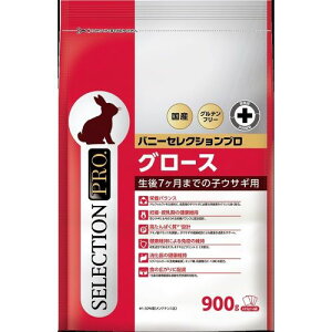 C[X^[@oj[ZNVv@O[X@900g