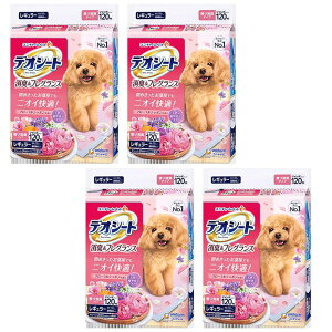 fIV[g@LtOX@t[V{̍@M[120×4Zbg