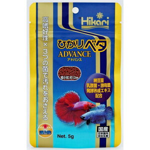 L[@Ђx^AhoX5gܖ2025N61܂łׁ̈A̓