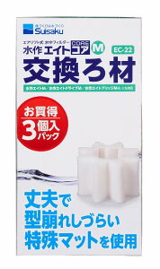 GCgRAM@3