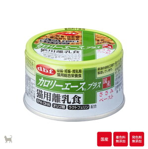 frt@J[G[XvXLpH݃y[Xg@85g