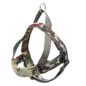 EZ C[W[hbO@NCbNn[lX@L@O[J