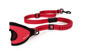 EZ@C[W[hbO@nfB[VbN[h@bh