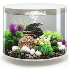 楽天市場 水槽セット 35l 熱帯魚 アクアリウム ペット ペットグッズ の通販