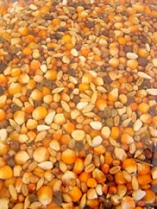 ̃GT@NPF ̐H@GNZ@15kg VNȎqIĔzv܂B