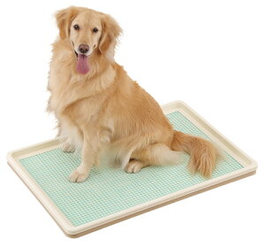 {r@g[XL@bV^Cv@X[p[Ch