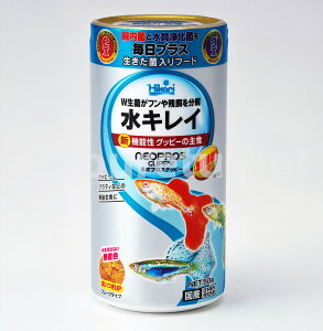 L[@LC@Obs[̎HlIvXObs[50g ܖ2025N8܂łׁ̈A̓