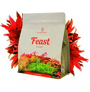 yTHE 2HR AQUARISTzAPT Feast tB[Xg 2L