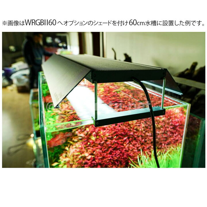 chihiros チヒロズWRGB2 60 