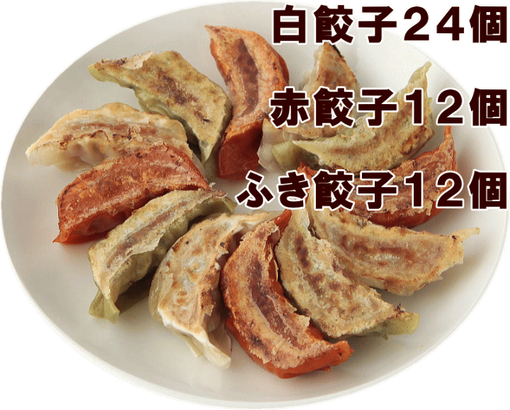 楽天市場 浜ちゃんが お取り寄せグルメ 送料無料 餃天の3色餃子48個セット 原料国産 赤餃子12個 白餃子24個 ふき餃子12個 お中元 お歳暮 ギフト 化粧箱 餃子の餃天 餃子の餃天