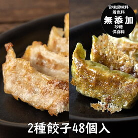 ふき餃子と白餃子48個セット（白餃子24個・ふき餃子24個）【送料無料】（餃子の餃天 ぎょうざのぎょうてん ぎょうざ 餃子 ギョーザ お中元 お歳暮 お取り寄せ ギフト 化学調味料無添加 無添加）