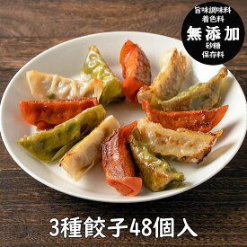 【送料無料】餃天の3種餃子48個詰合せ【赤餃子12個・白餃子24個・ふき餃子12個】餃子の餃天/餃子/ギョーザ/お取り寄せ/無添加/化学調味料無添加