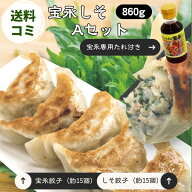 【ポイント2倍】【送料無料】宝永しそAセット（専用たれ付き） 総重量860g ぎょうざの宝永【製造元】北海…