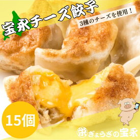 宝永チーズ餃子 375g（約15個入） 【製造元】北海道「マツコの知らない世界」 冷凍餃子 ぎょうざ 生餃子 中華 惣菜 点心 もちもち にんにく ギフト お歳暮