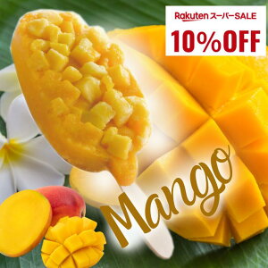 _X[p[SALE10OFF^b`ʎo[ }S[ 썑 ACXo[ Pi CX^ f b  ACX  Mtg v[g a i Ε