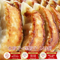 【4年連続中華総菜・点心部門グルメ大賞受賞！】餃子 送料無料 【5000万個完売】黒餃子96個本餃子48個！…