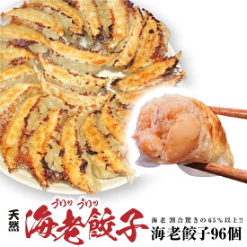 【4年連続中華総菜・点心部門グルメ大賞受賞！合計7回受賞】餃子 中華　点心　送料無料 【5000万個完売】 送料無料！ 海老餃子96個