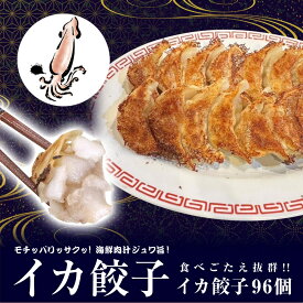 【4年連続中華総菜・点心部門グルメ大賞受賞！合計7回受賞】餃子 中華　点心　送料無料 【5000万個完売】 送料無料！ イカ餃子96個