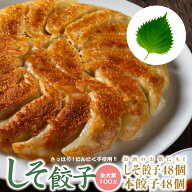 本餃子48個 しそ餃子48個 入り 合計96個セット ぎょうざ 冷凍餃子 冷凍食品