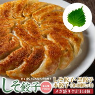 人気爆発中！しそ餃子48個 本餃子48個 黒餃子48個　メガ盛り！144個 ぎょうざ 冷凍餃子 冷凍食品