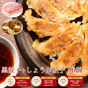 【2019年度グルメ大賞受賞!】黒餃子48個 しょうが餃子48個 入り 餃子 送料無料 【5,000万個突破】餃子 96個!約16人前!