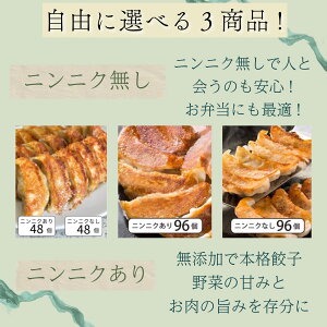 無添加餃子にんにくあり48個にんにくなし48個合計96個セット