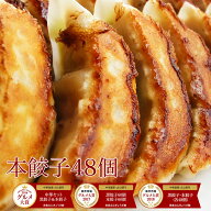 本餃子 48個入り ぎょうざ 冷凍餃子 冷凍食品 中華 点心