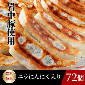 東京餃子楼 冷凍餃子 ニラ・にんにく入り 袋詰め72個入り自家製ラー油付き★ にんにく餃子 冷凍食品 餃子 冷凍 ぎょうざ ギョウザ ギョーザ 野菜 焼餃子 生餃子 取り寄せ 野菜餃子 野菜たっぷり お取り寄せグルメ 酒のつまみセット 点心 中華惣菜 まとめ買い お得 送料無料