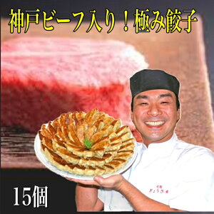 y_ˎs\Xz_˃r[t  ɂ Lq ijjNȂjN   M[U Xt 15 _ˋ  Mtg O 傤 y ⓀLq _ 