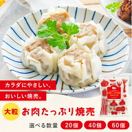 【3/18以降順次出荷分受付中】無添加 焼売 20個入り (1粒35g ) 肉焼売 国産野菜 国産豚肉 冷凍 しゅうま…