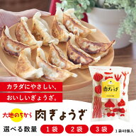 無添加 単品 肉餃子 40個入 国産野菜 国産豚肉 新鮮素材 化学調味料不使用 安心 健康志向 お取り寄せ 惣…