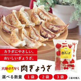 無添加 単品 肉餃子 40個入 国産 新鮮素材 化学調味料不使用 安心 健康志向 お取り寄せ 惣菜 冷凍 【ぎょうざほんぽpao】の大地のめぐみ 肉ぎょうざ