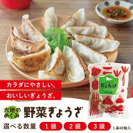 ＼ 6/11 1:59まで40%OFF／無添加 単品 野菜餃子 40個入 国産野菜 国産豚肉 新鮮素材 化学調味料不使用 安…