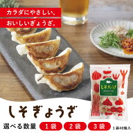 ＼ 6/11 1:59まで40%OFF／しそ餃子 無添加 単品 40個入 国産野菜 国産豚肉 新鮮素材 化学調味料不使用 健…