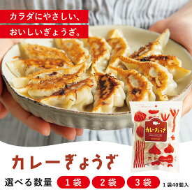 無添加 単品 カレー餃子 40個入 国産 新鮮素材 化学調味料不使用 安心 健康志向 お取り寄せ 惣菜 【ぎょうざほんぽpao】のみんな大好き カレーぎょうざ